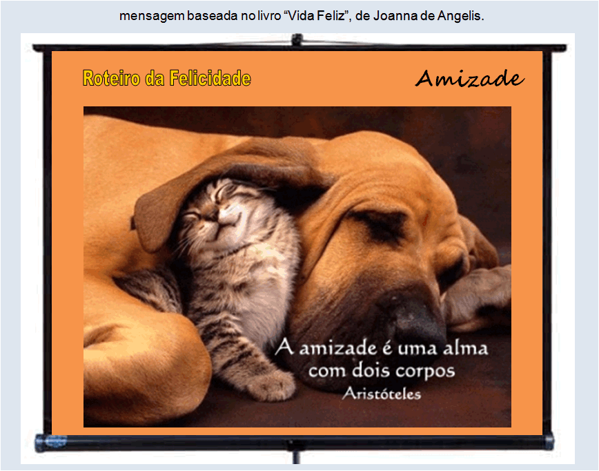 Amizade